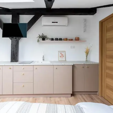 Wislna Old Town * كراكوفيا