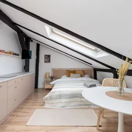Apartamento Wislna Old Town *