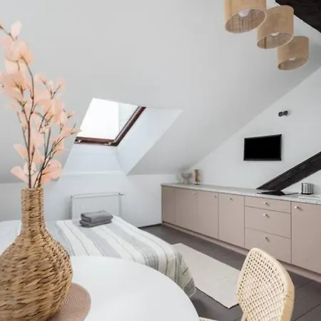 Daire Wislna Old Town Krakow