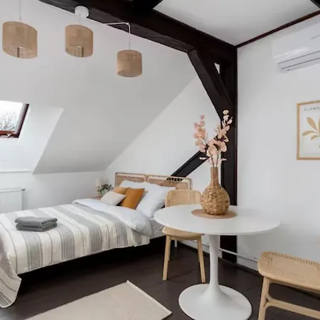 Wislna Old Town アパート *