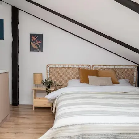 Wislna Old Town Apartment Krakow