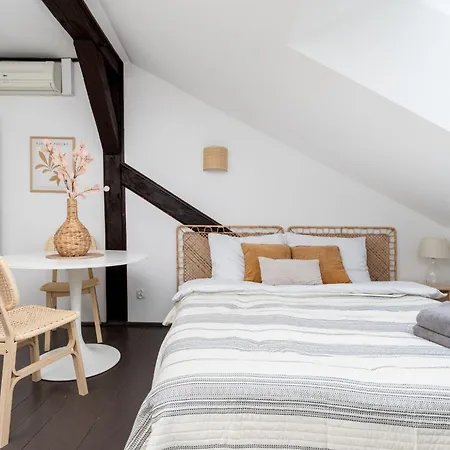 Apartamento Wislna Old Town *