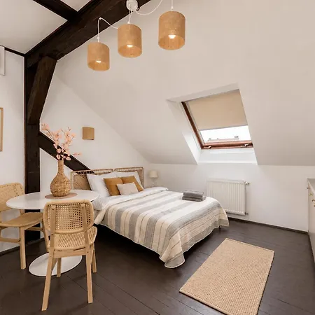 Wislna Old Town Apartamento *