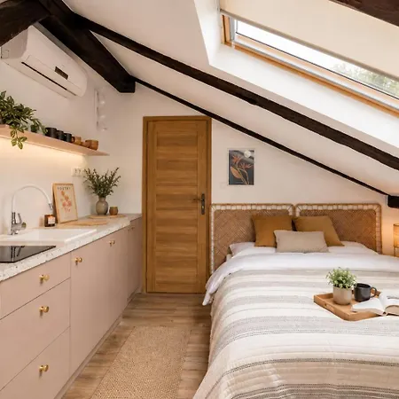 Apartamento Wislna Old Town