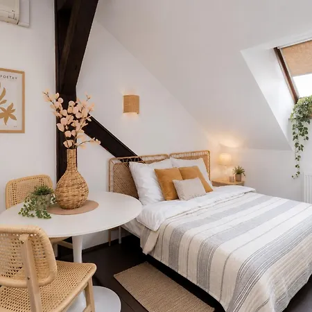 Apartamento Wislna Old Town *