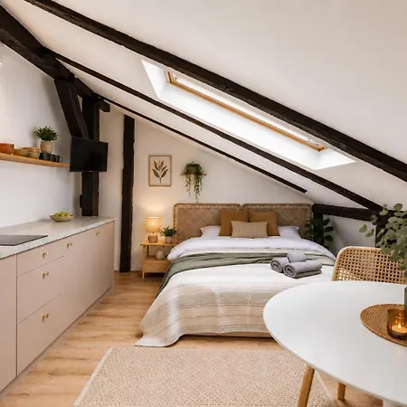 Wislna Old Town Appartement