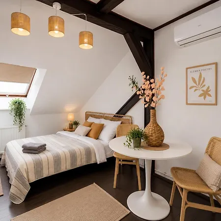 Appartement Wislna Old Town Cracovie